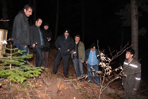 Orman Zararlılarına Gece Operasyonu